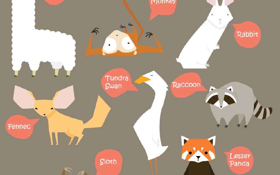 Animal Talk