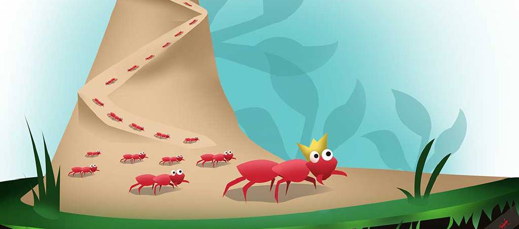 Why do Ants walk in a Line?