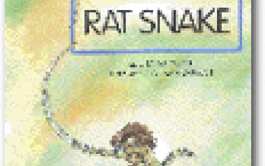 Of Rat Snakes and Boys who are Different