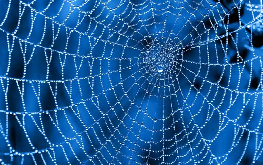 How do Spiderwebs Help Skydivers?