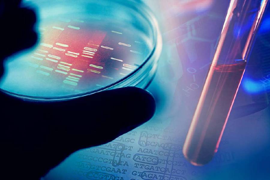 What is Ribotyping?