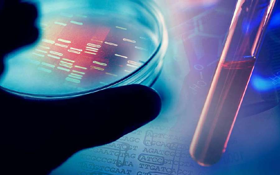 What is Ribotyping?