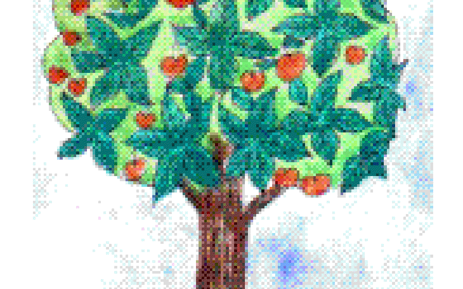 Seasons in a Tree’s Rooted Life