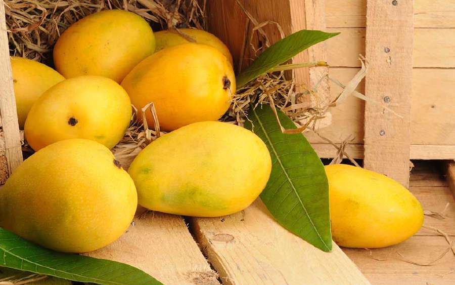 Which is the Most Abundant Fruit in India?