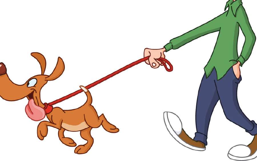 Dad and the Dog