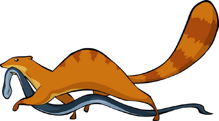 Mongoose killing a snake: Monu Makes his Mark - A story for kids