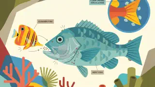Illustration for Mutual Aid Societies