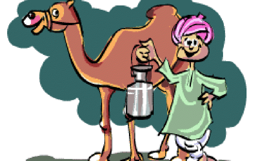 Camel's Milk and Pet Registration