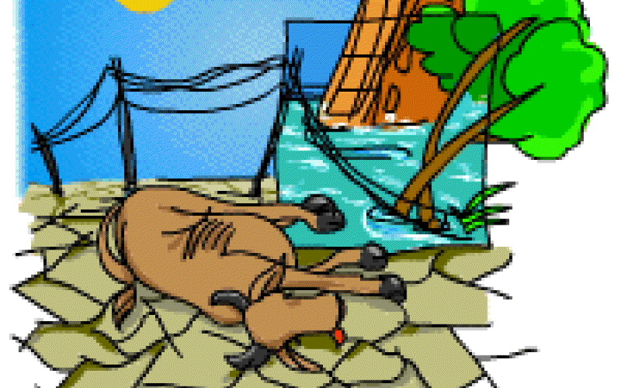 Flooded by disaster