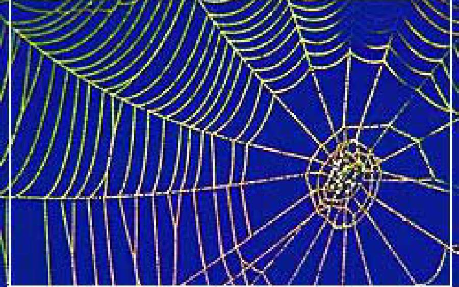 Web of Financial Scandal