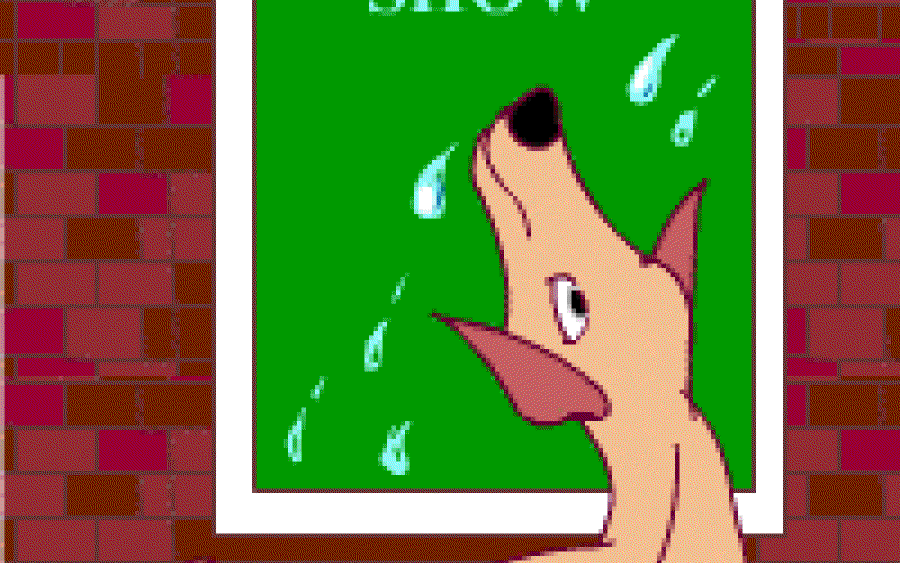 Advertisement for Dogs