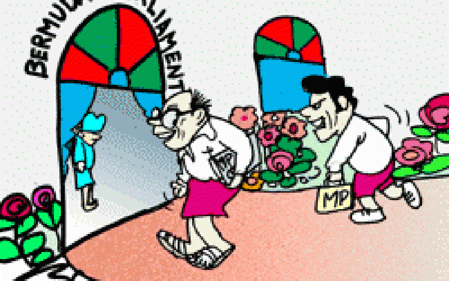 Bermudas on Beaches — and in Parliament