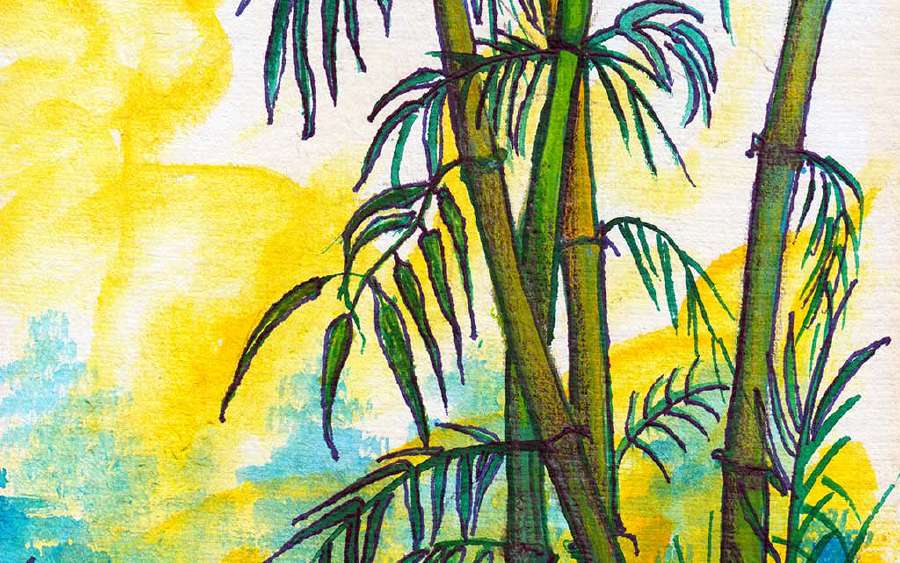 Flowering Bamboos