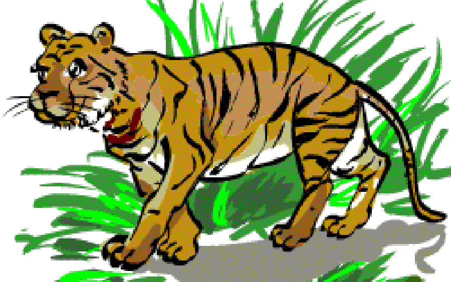 Tiger King