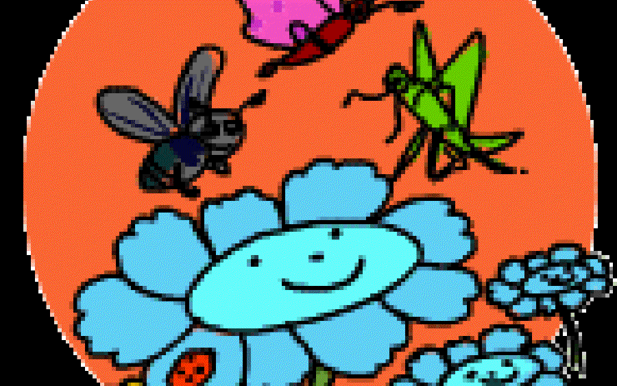 Little Blue Daisies