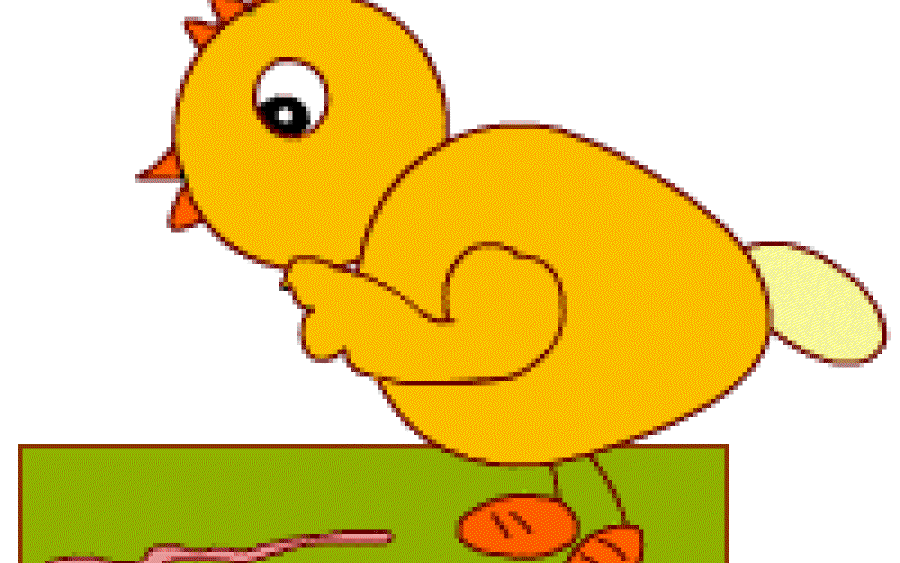 Little Chick