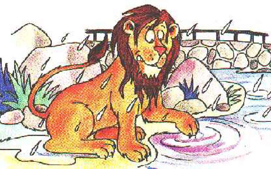 Lion On The Loose!...!...