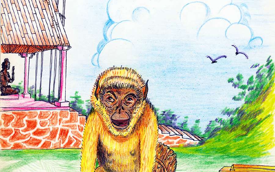 Monkey Business