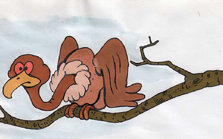 The Jungle Contest