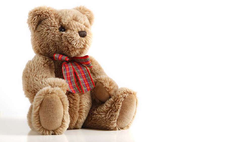 How did the Teddy Bear Get Its Name?