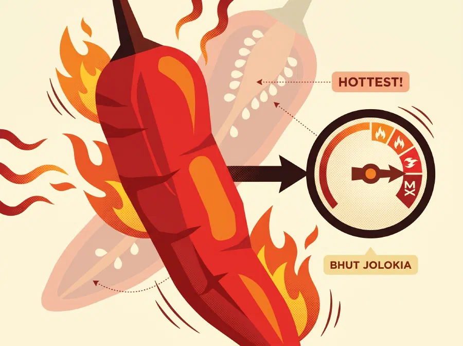 The World's Hottest Chili