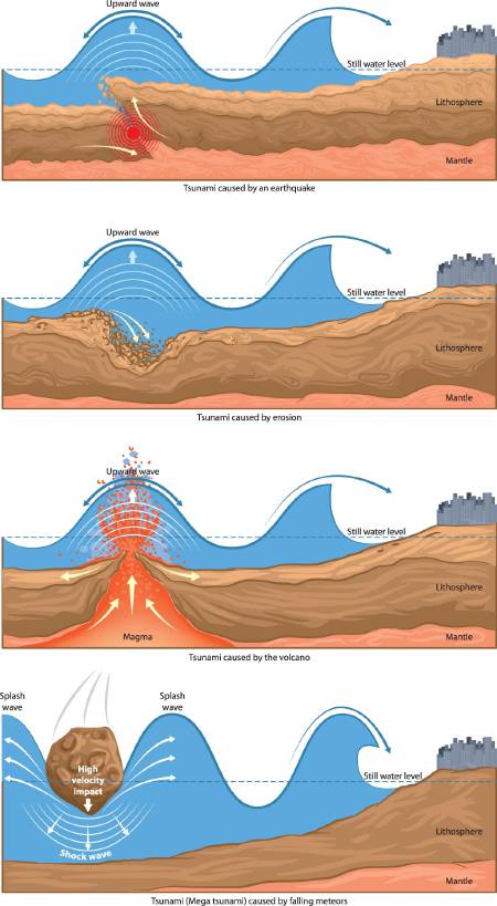 Basic types of tsunami