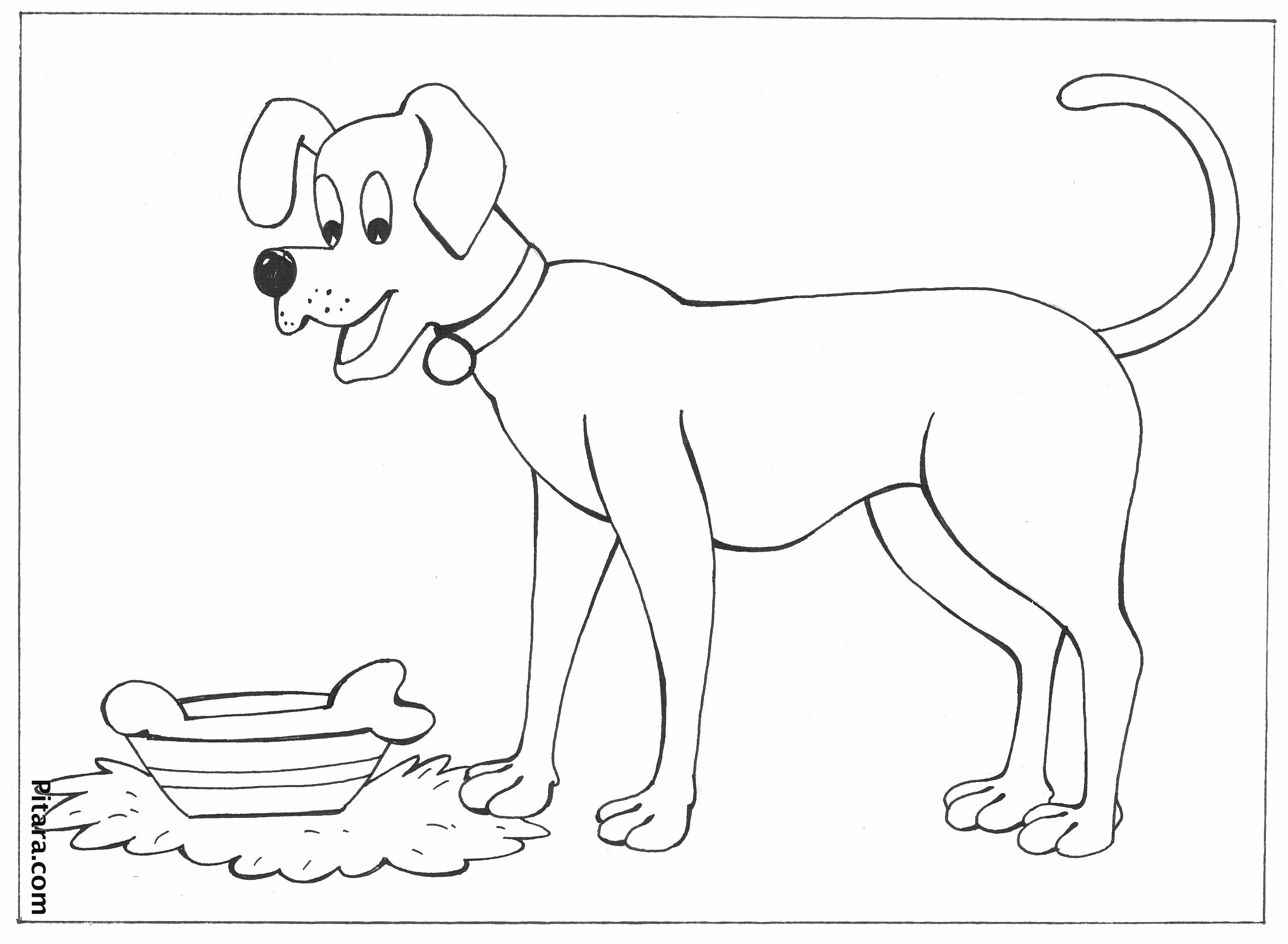 Domestic Animals Coloring Pages | Pitara Kids Network