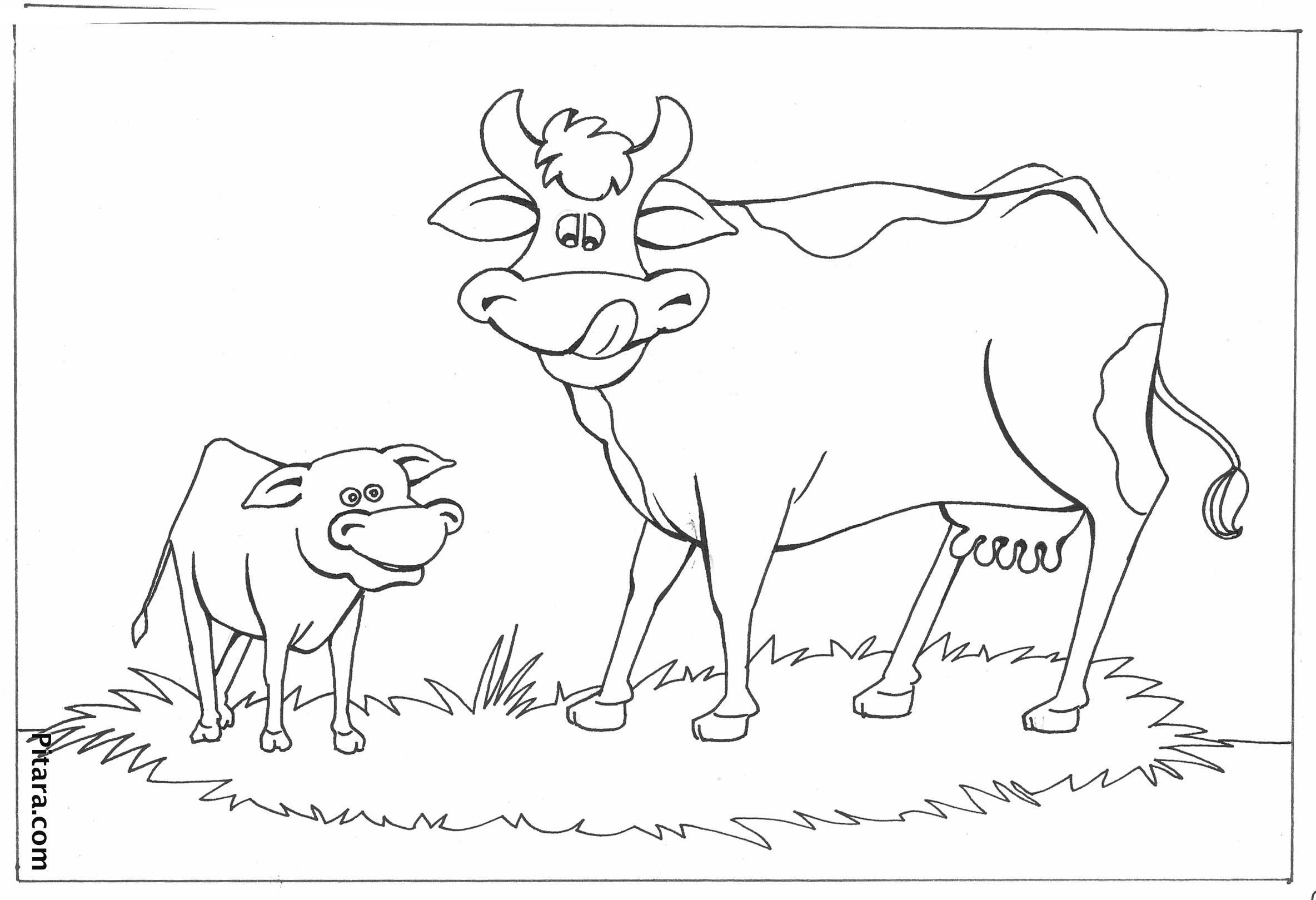 Download Domestic Animals Coloring Pages | Pitara Kids Network