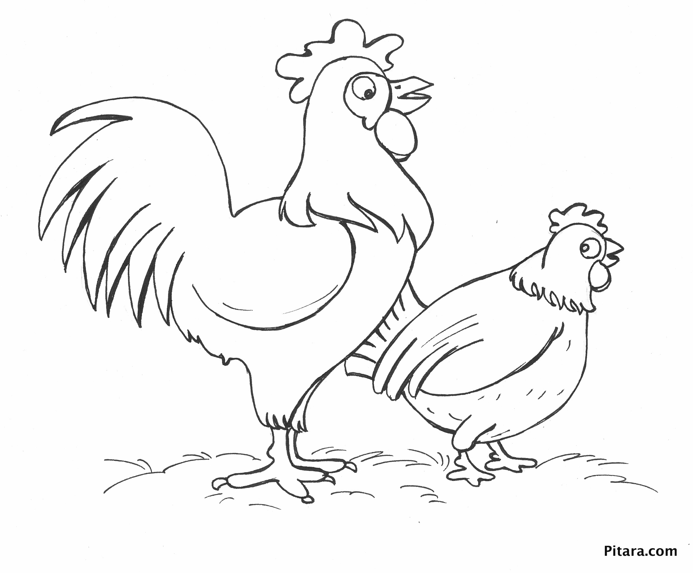 Two chickens – Coloring page | Pitara Kids Network